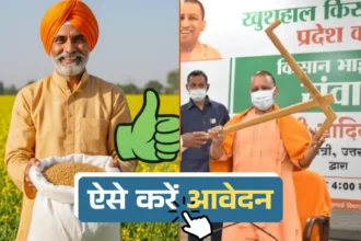 How to apply for free mustard seed scheme