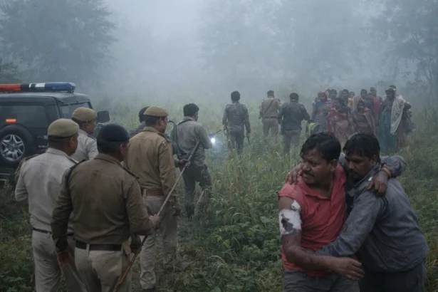 बहराइच में आदमखोर बाघ के 24 घंटे में 5 हमले, दो घायल