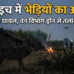 बहराइच में भेड़ियों का आतंक: 2 मासूम घायल, वन विभाग ड्रोन से कर रहा तलाश