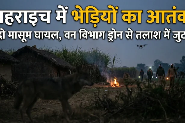 बहराइच में भेड़ियों का आतंक: 2 मासूम घायल, वन विभाग ड्रोन से कर रहा तलाश